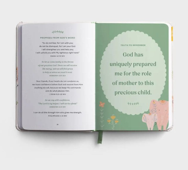 Prayers & Affirmations for You & Your Baby - Devotional