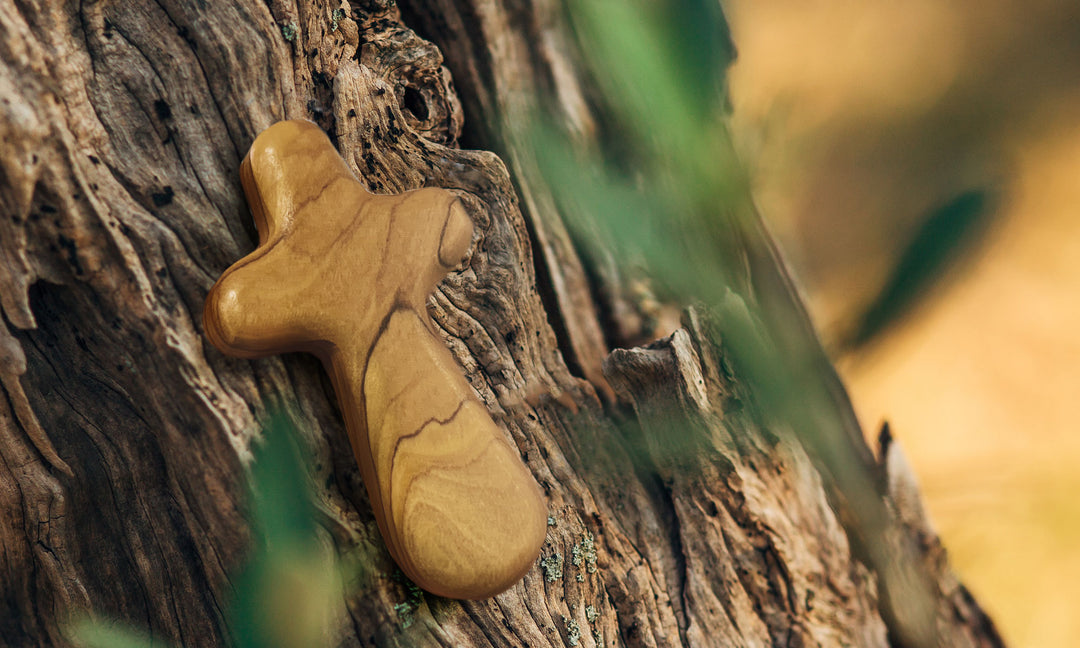 Holy Land comfort cross on Olive Wood tree branch