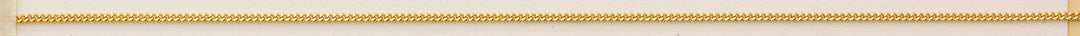 20" Gold Plated Chain