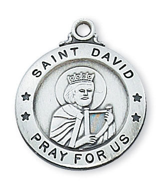 St. David Sterling Silver Medal on 20" Chain