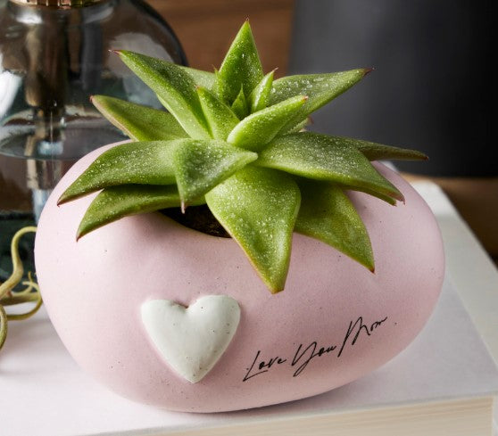 Inspired Small Planter - Mom