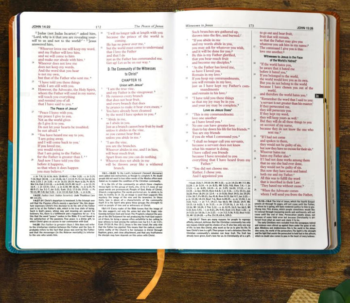 New Catholic Bible for Youth