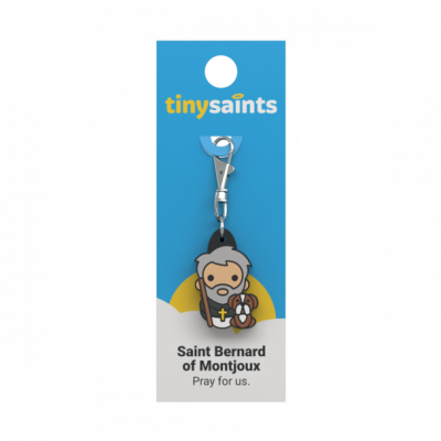 Saint Bernard of Montjoux Charm