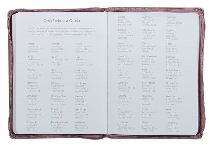 2027 Plans Large Zippered Dusty Mauve Faux Leather 18-Month Planner for Women - Jeremiah 29:11