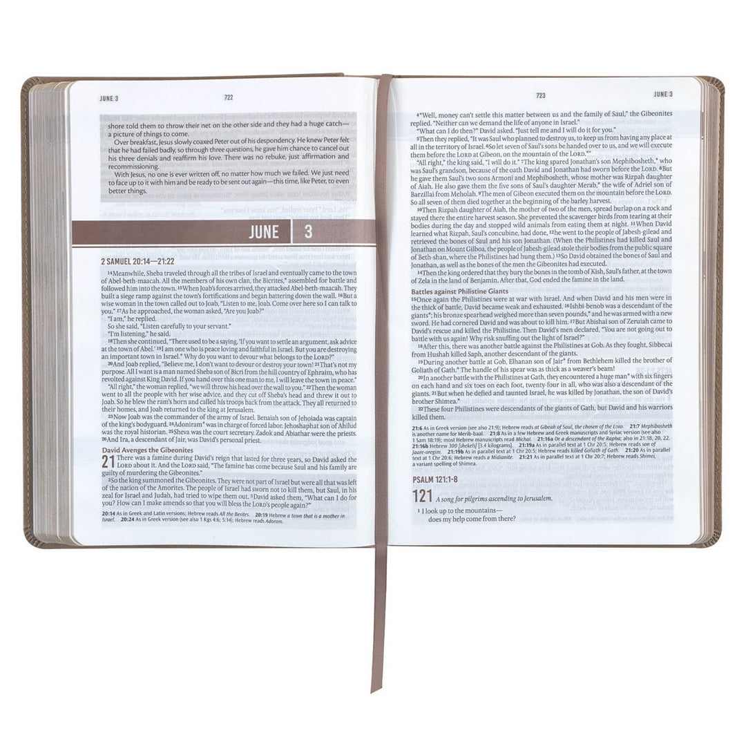 Tan Faux Leather NLT Everyday Devotional Bible for Men