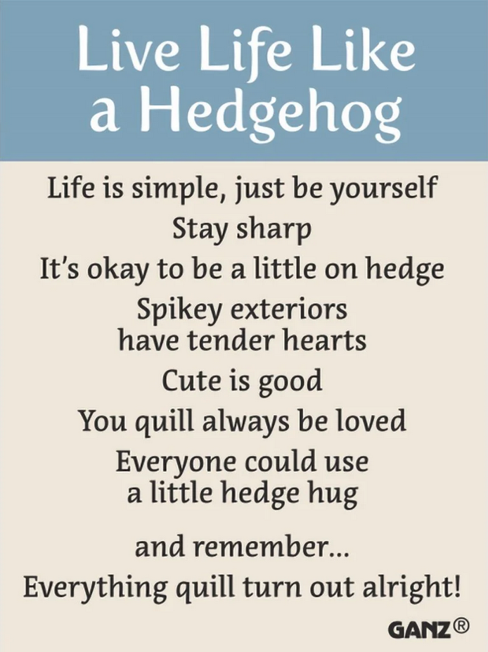 Life Is Like a Hedgehog Charm
