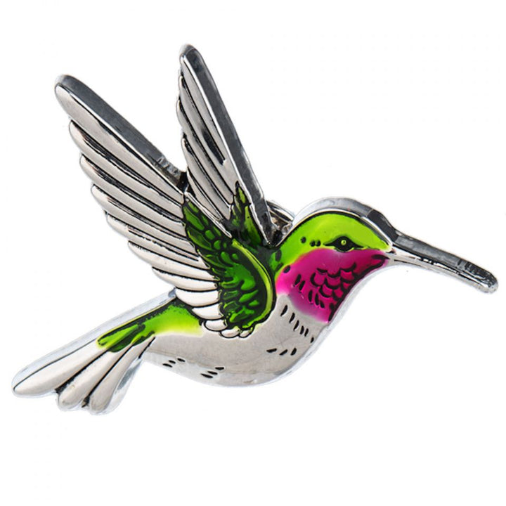 Hummingbird Good Luck Pin