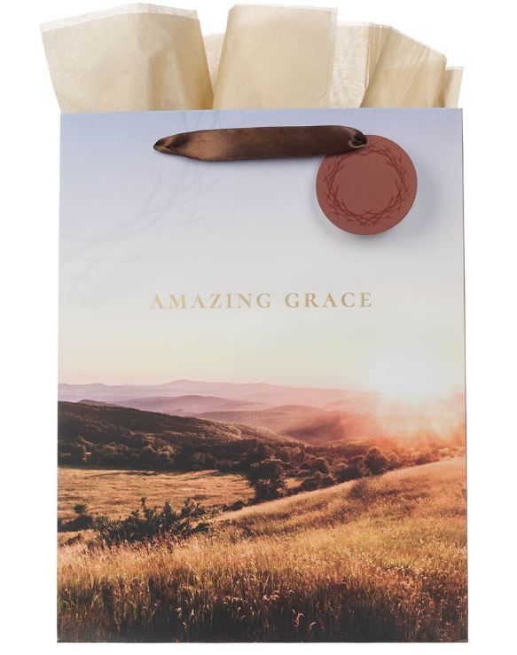 Amazing Grace Crown of Thorns Large Portrait Gift Bag