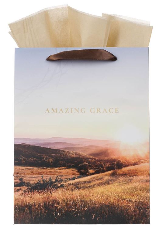 Amazing Grace Crown of Thorns Large Portrait Gift Bag