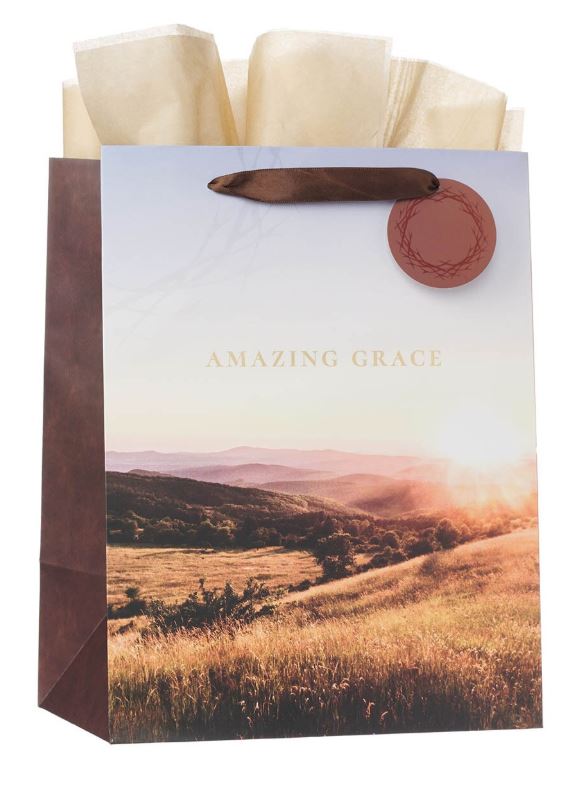 Amazing Grace Crown of Thorns Large Portrait Gift Bag
