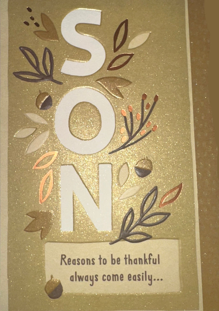 Son Reasons to Be Thankful - Card