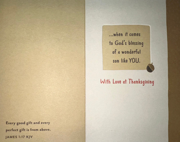 Son Reasons to Be Thankful - Card