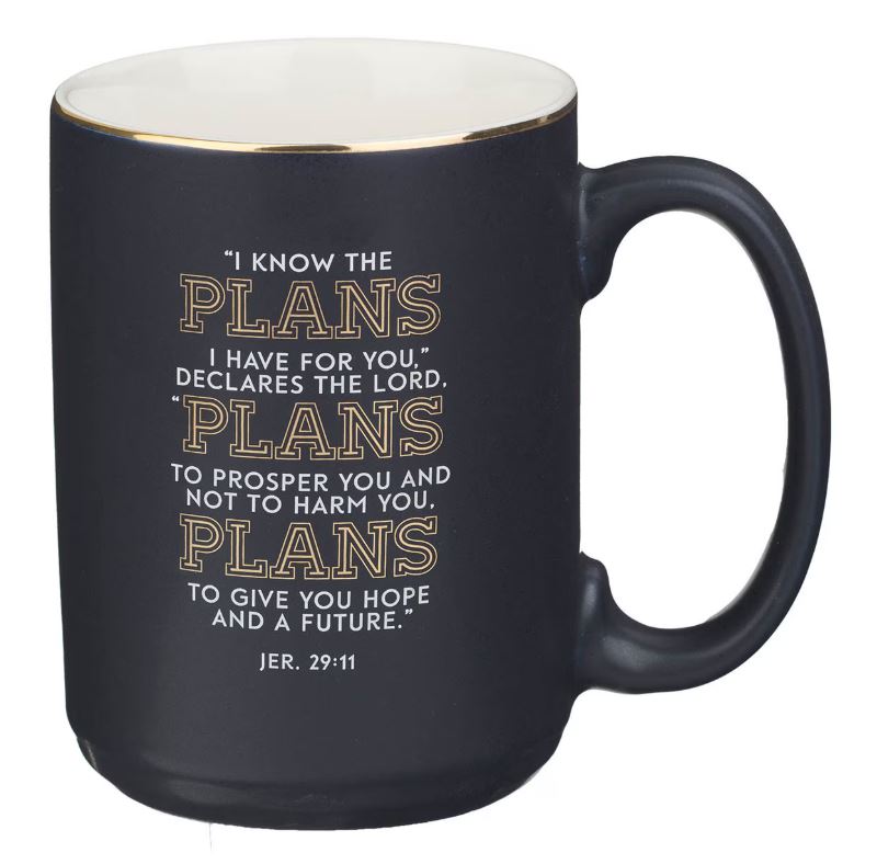 The Plans Modern Blue Grid Ceramic Coffee Mug - Jeremiah 29:11