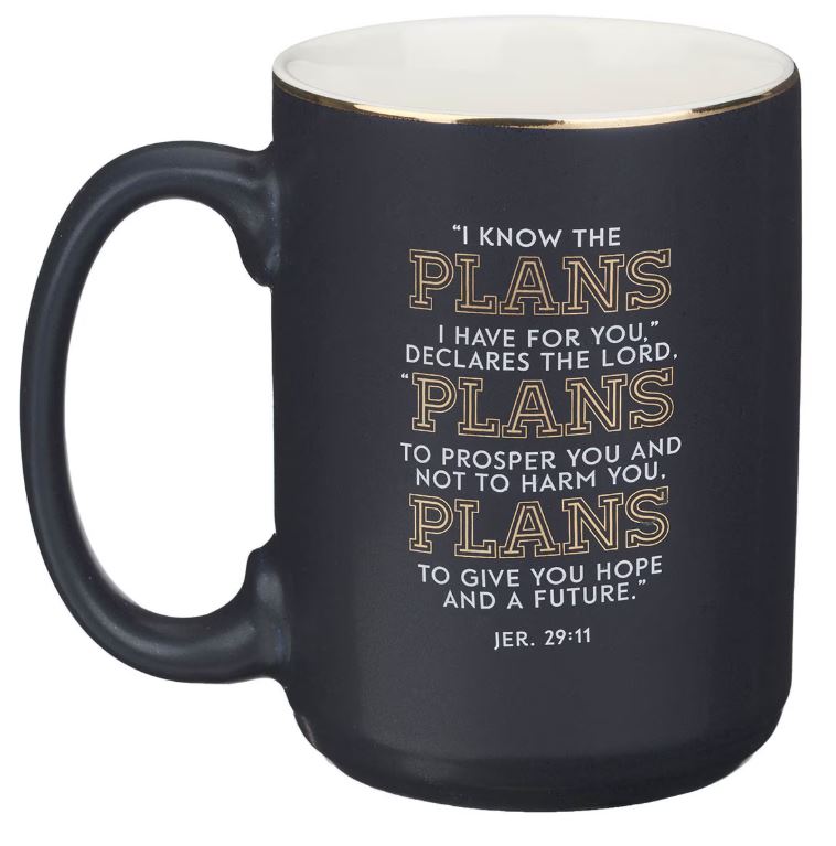 The Plans Modern Blue Grid Ceramic Coffee Mug - Jeremiah 29:11