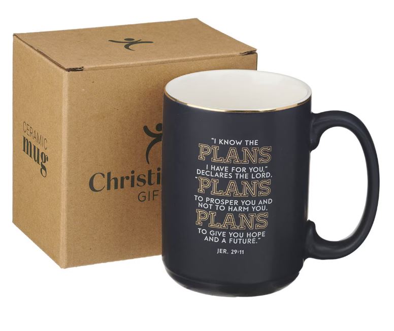 The Plans Modern Blue Grid Ceramic Coffee Mug - Jeremiah 29:11