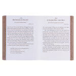 Faith's Checkbook Brown Softcover One-Minute Devotions