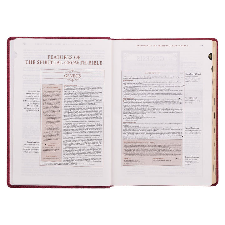 Berry Faux Leather Spiritual Growth Bible