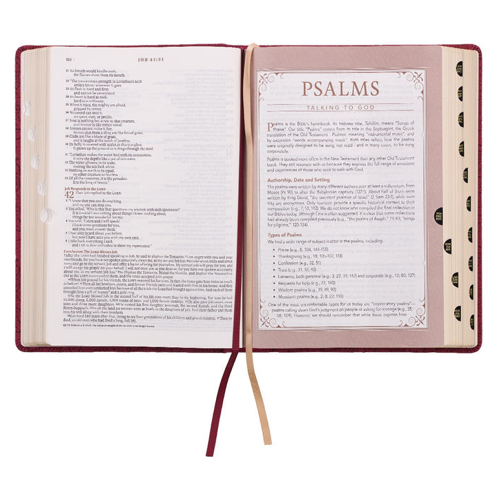 Berry Faux Leather Spiritual Growth Bible