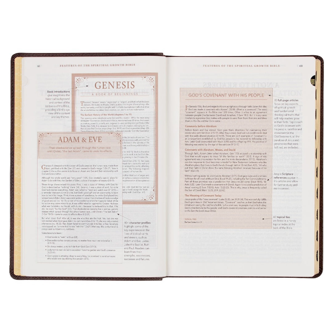 Espresso Brown Faux Leather Spiritual Growth Bible