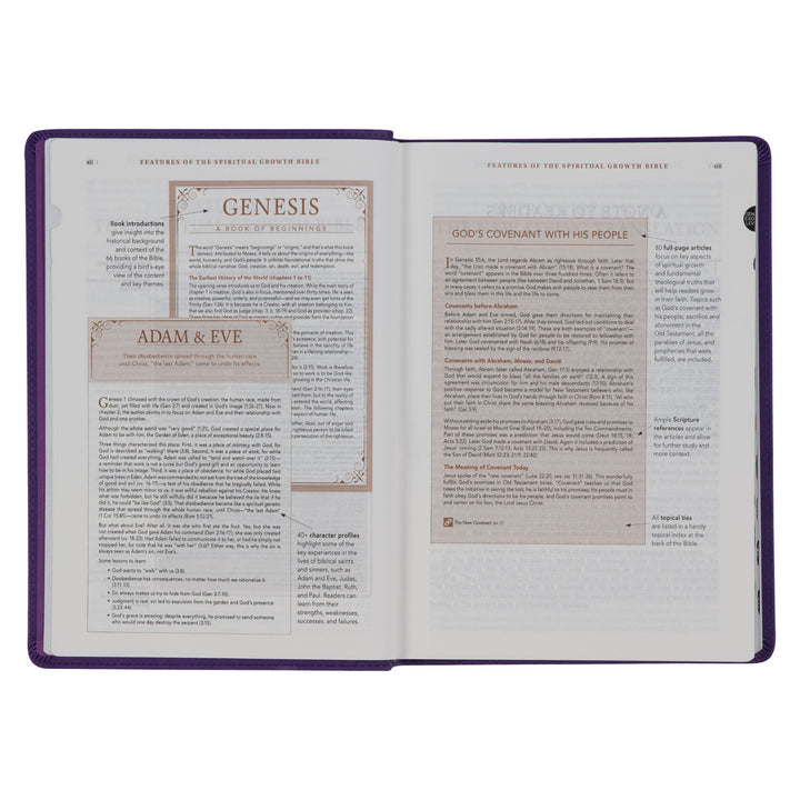 Purple Faux Leather Spiritual Growth Bible