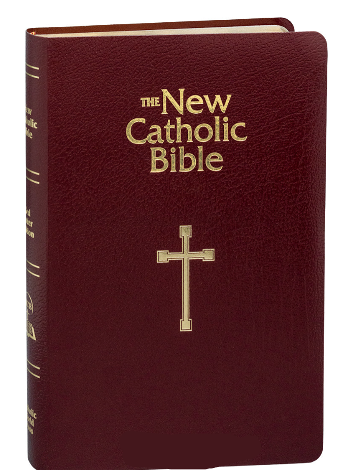 NCB Gift & Award Bible