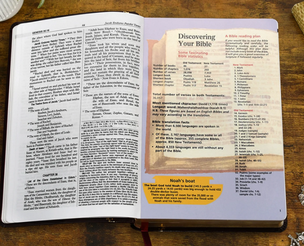 St. Joseph New Catholic Bible (Gift Edition-Personal Size)