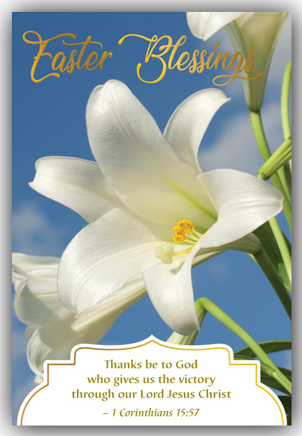 Easter Lily Greeting Card