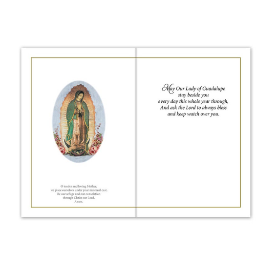 Our Lady of Guadalupe Card