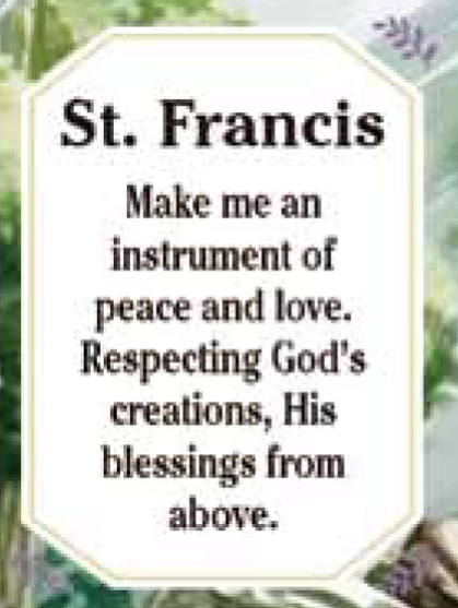 4.5" Patron Saint - St. Francis