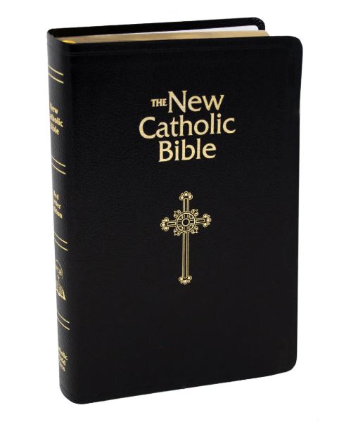 NCB Deluxe Gift Bible