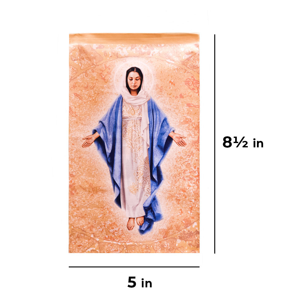 Blessed Mother Printed Tapestry - Small - Artist, John Nava