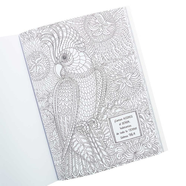 Los Salmos en Color: Libro para Colorear