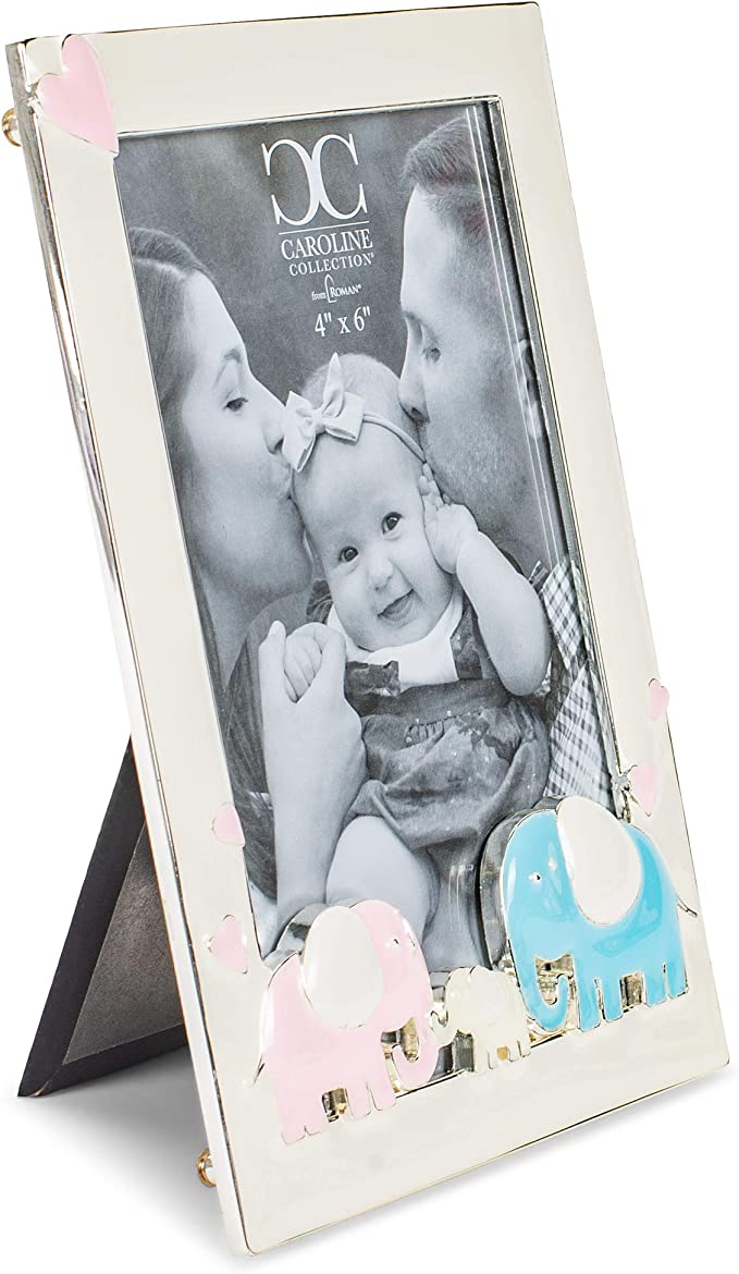 Pink and Blue Elephant Frame