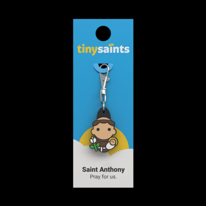 St. Anthony Charm