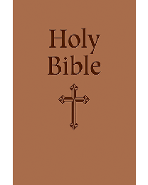 Gift BIble - Leather